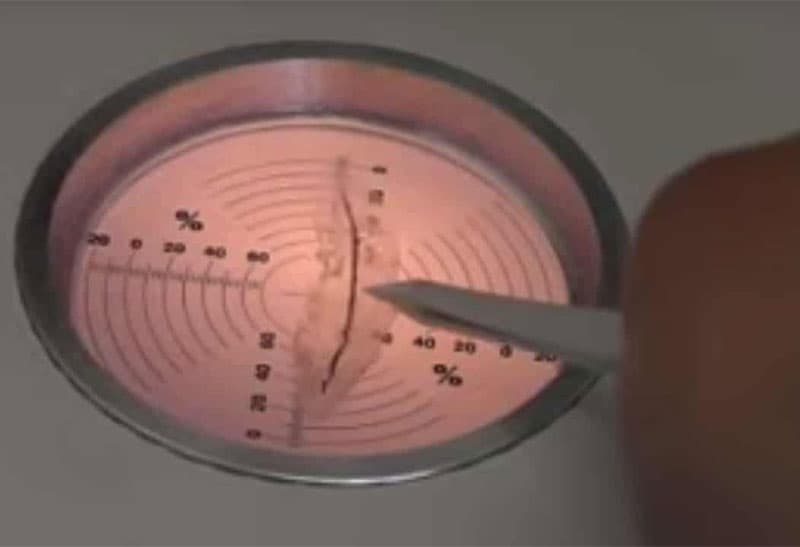 Shrinkage test sample in a circular metal dish – A plastic film sample with visible shrinkage marks and concentric measurement lines, being examined with a precision tool.