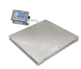 Platform Scales